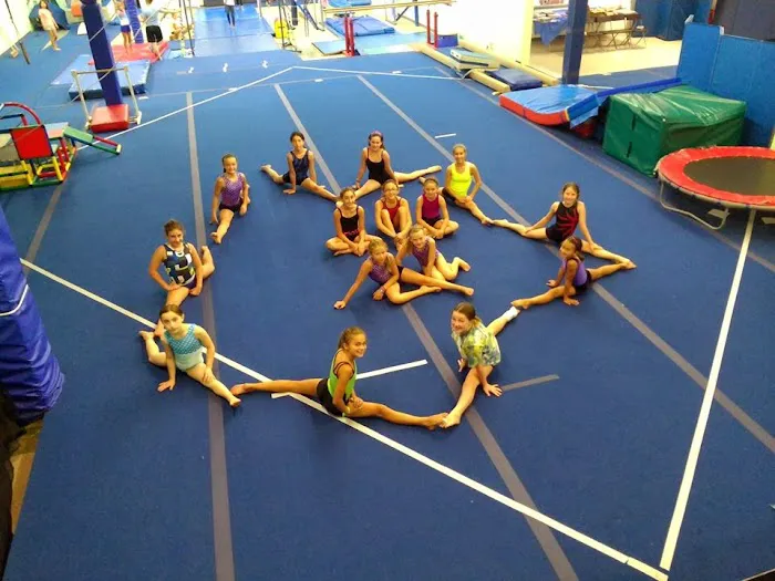 Olympika Gymnastics Picture 2