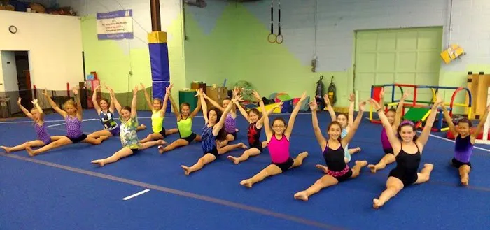 Olympika Gymnastics Picture 5