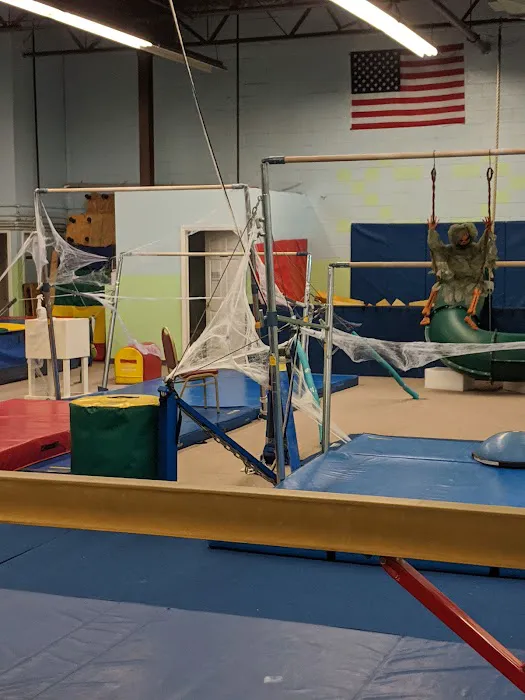 Olympika Gymnastics Picture 6