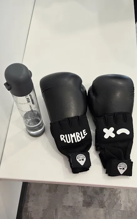 Rumble Boxing Picture 7