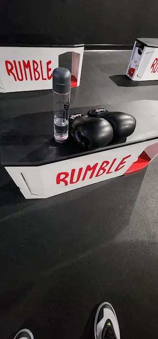 Rumble Boxing Picture 9