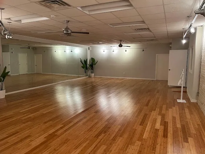 Santokh Yoga & Wellness Center Picture 8