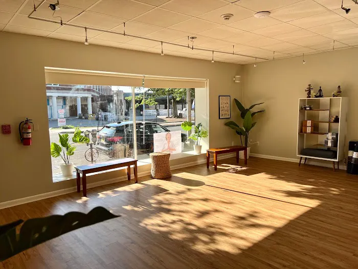 Santokh Yoga & Wellness Center Picture 4
