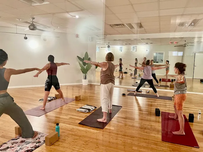 Santokh Yoga & Wellness Center Picture 2