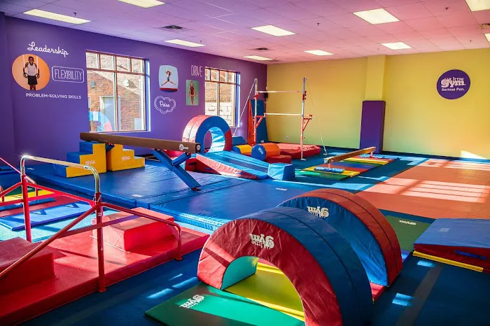 The Little Gym of Montclair Picture 4
