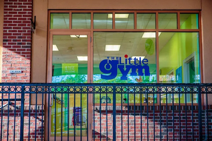 The Little Gym of Montclair Picture 8