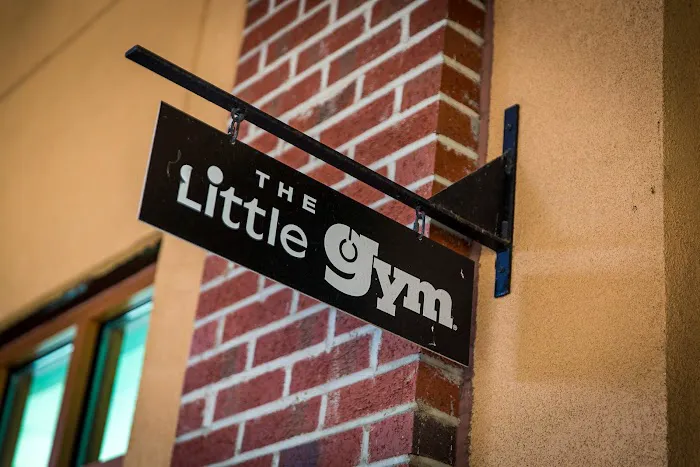 The Little Gym of Montclair Picture 6