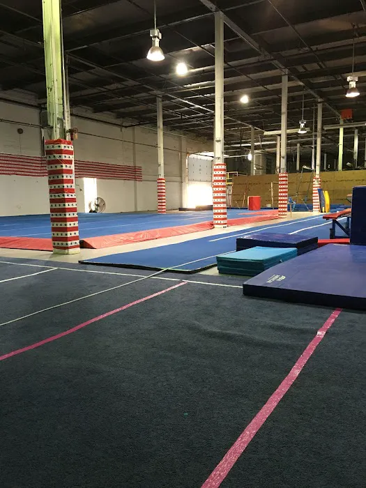 Revel Gymnastics Picture 1
