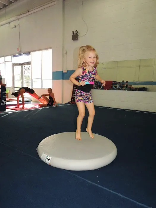 East Coast Gymnastics & Cheer Picture 3