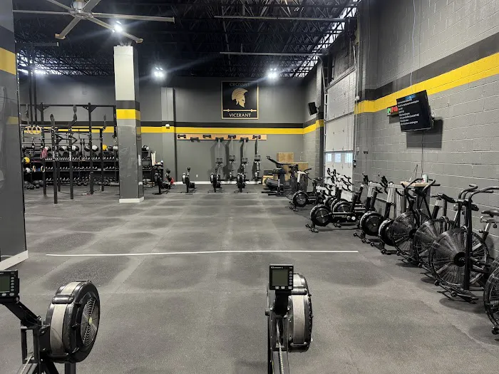 CrossFit Vicerant Picture 4
