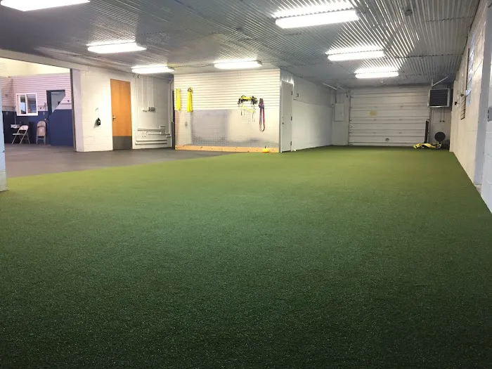 Forged Human Performance Center Picture 4