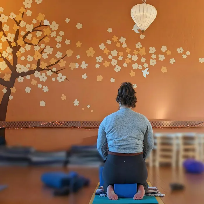 Binghamton Yoga Picture 3
