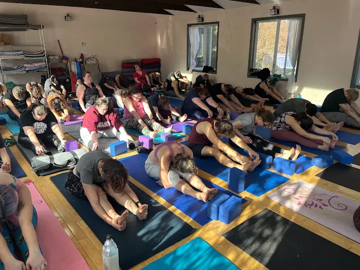 Shakti Yoga Woodstock Picture 1