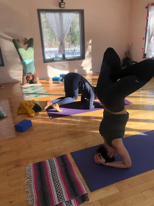Shakti Yoga Woodstock Picture 2