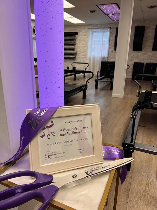 9 Essentials Pilates and Wellness Picture 4