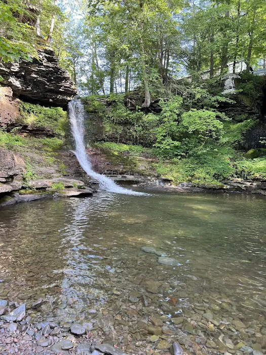 Catskill Mountain Springs Picture 1