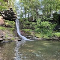 Catskill Mountain Springs ico