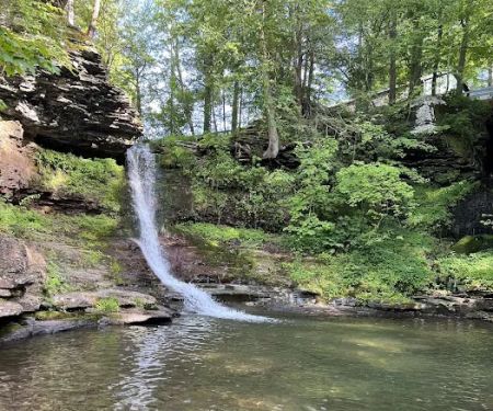 Catskill Mountain Springs