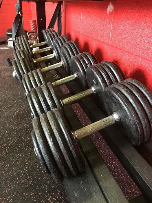 Sport of Iron Fitness Picture 4