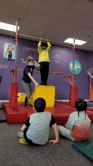 The Little Gym of Kingston Picture 5