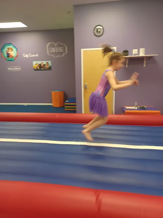 The Little Gym of Kingston Picture 9