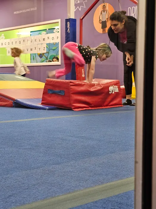 The Little Gym of Kingston Picture 3