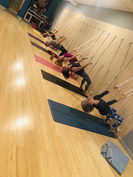 Dutchess Yoga Studio Picture 6