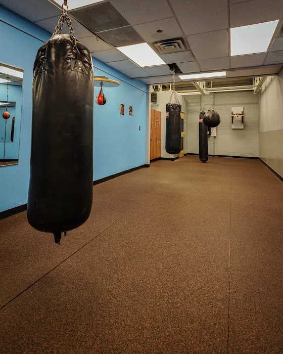 Gold's Gym Picture 8