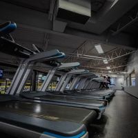 Gold's Gym ico
