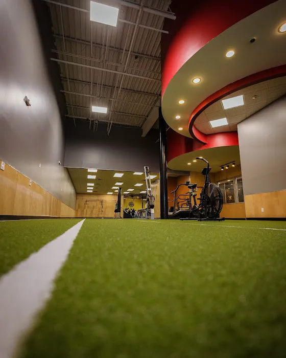 Gold's Gym Picture 6