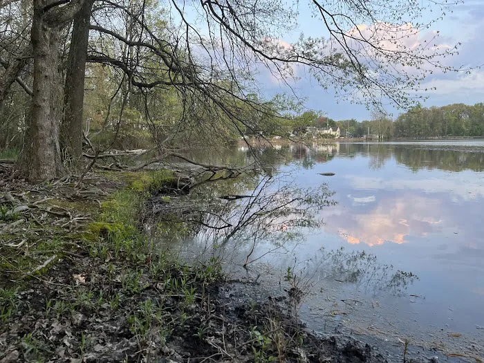 Oldham Pond Picture 4