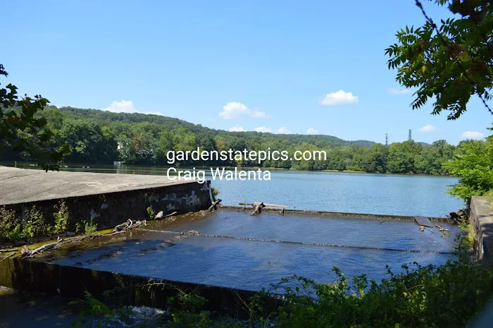 Oldham Pond Picture 7