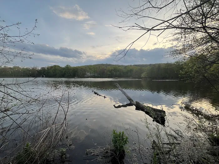 Oldham Pond Picture 3