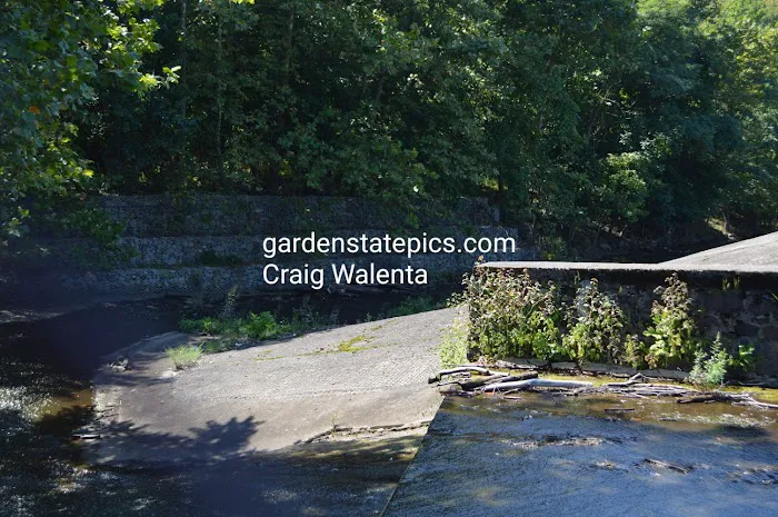 Oldham Pond Picture 8