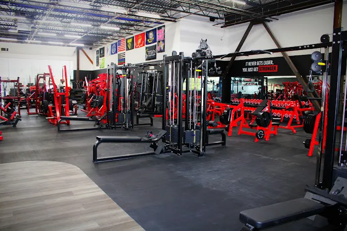 Jersey Barbell Picture 8