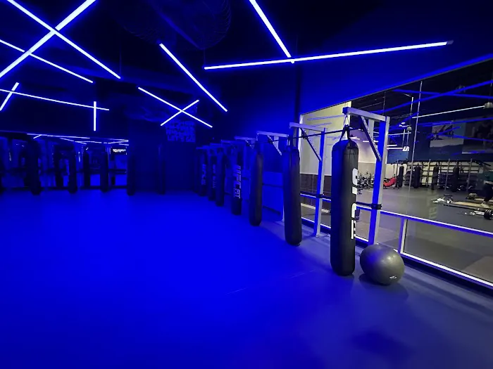 UFC FIT Wayne Picture 8