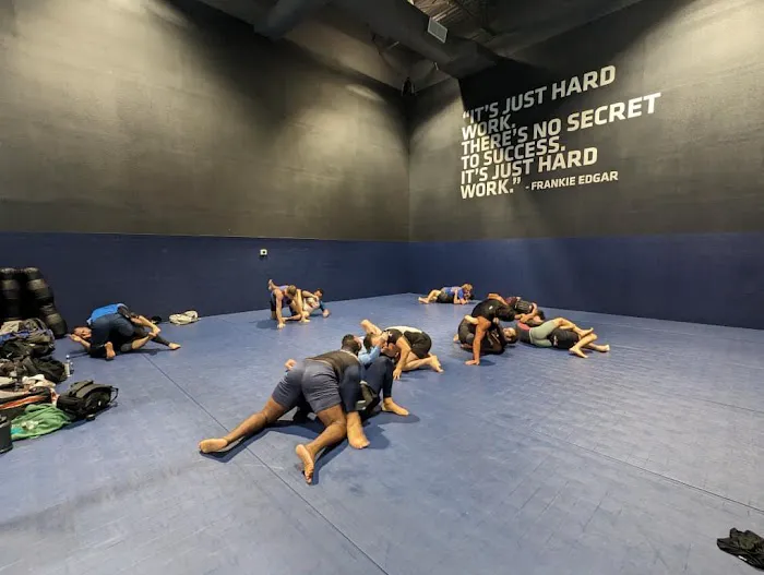 Sdotbell MMA (UFC Fit-Wayne) Picture 7