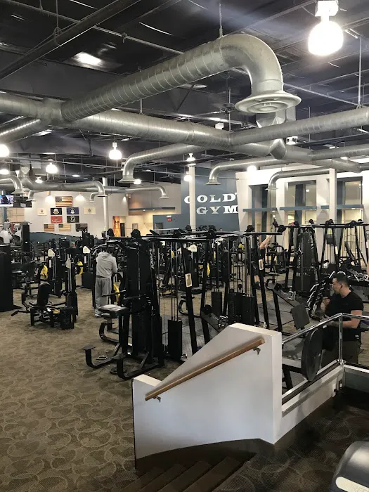 Gold's Gym Picture 6