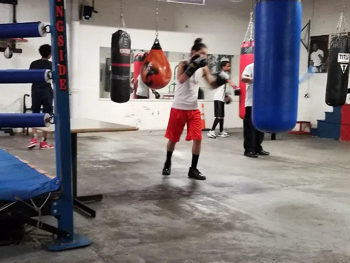 True warriors boxing Picture 6