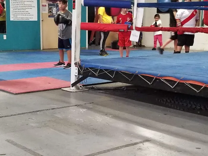 True warriors boxing Picture 4