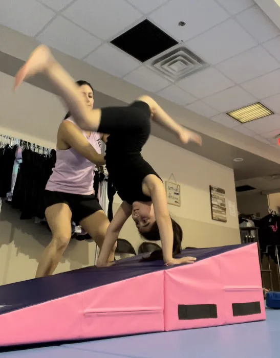 Tumble On Up Picture 3