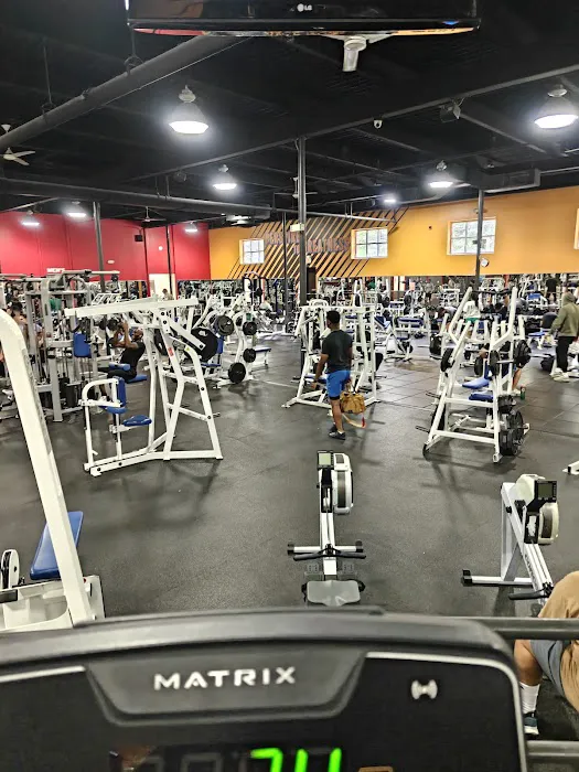 Crunch Fitness - Verona Picture 3