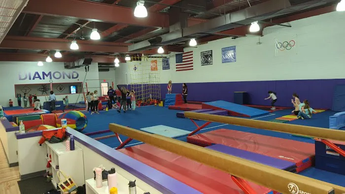 Diamond Gymnastics of Verona Picture 1