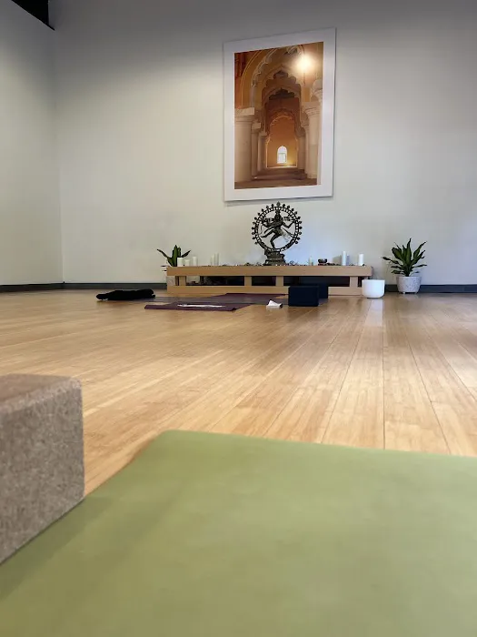 Yoga Mechanics Picture 4