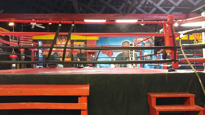 Elite HE Boxing Boxeo Gym Picture 10