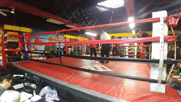 Elite HE Boxing Boxeo Gym Picture 4