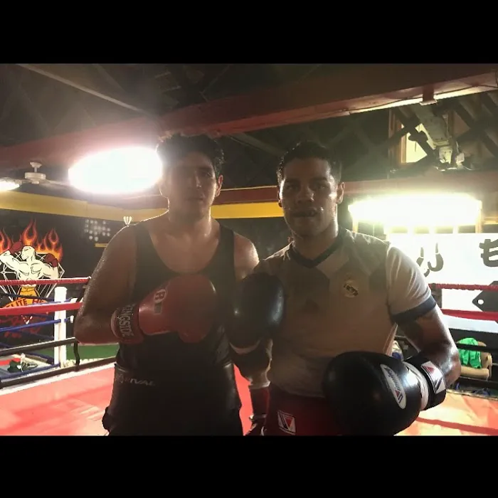 Elite HE Boxing Boxeo Gym Picture 2