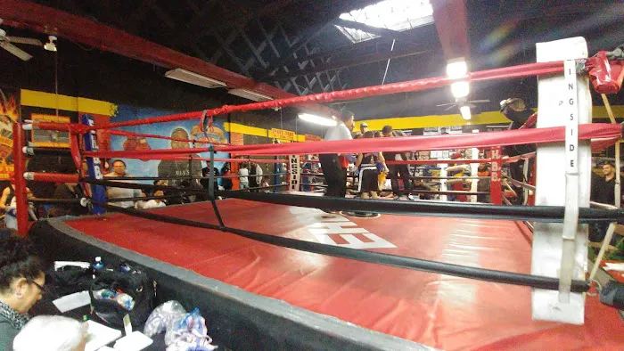 Elite HE Boxing Boxeo Gym Picture 3
