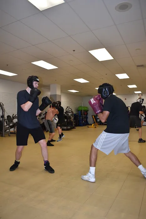 Mutopia Boxing & Fitness Picture 3