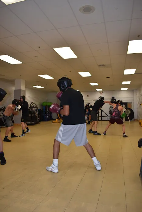 Mutopia Boxing & Fitness Picture 4